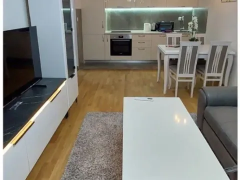 Izdavanje, jednosoban stan, 45m², Zabjelo, Podgorica - image 4