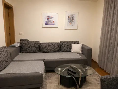Sale, one bedroom apartment, 44m², Zabjelo, Podgorica - image 2