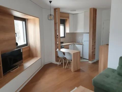 Izdavanje, garsonjera, 30m², Ljubović, Podgorica - image 3