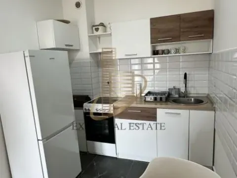 Izdavanje, jednosoban stan, 45m², Tošin bunar, Novi Beograd Sve Podlokacije - image 9