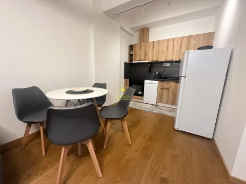 Izdavanje, jednosoban stan, 59m², Stara Varoš, Podgorica - image 4