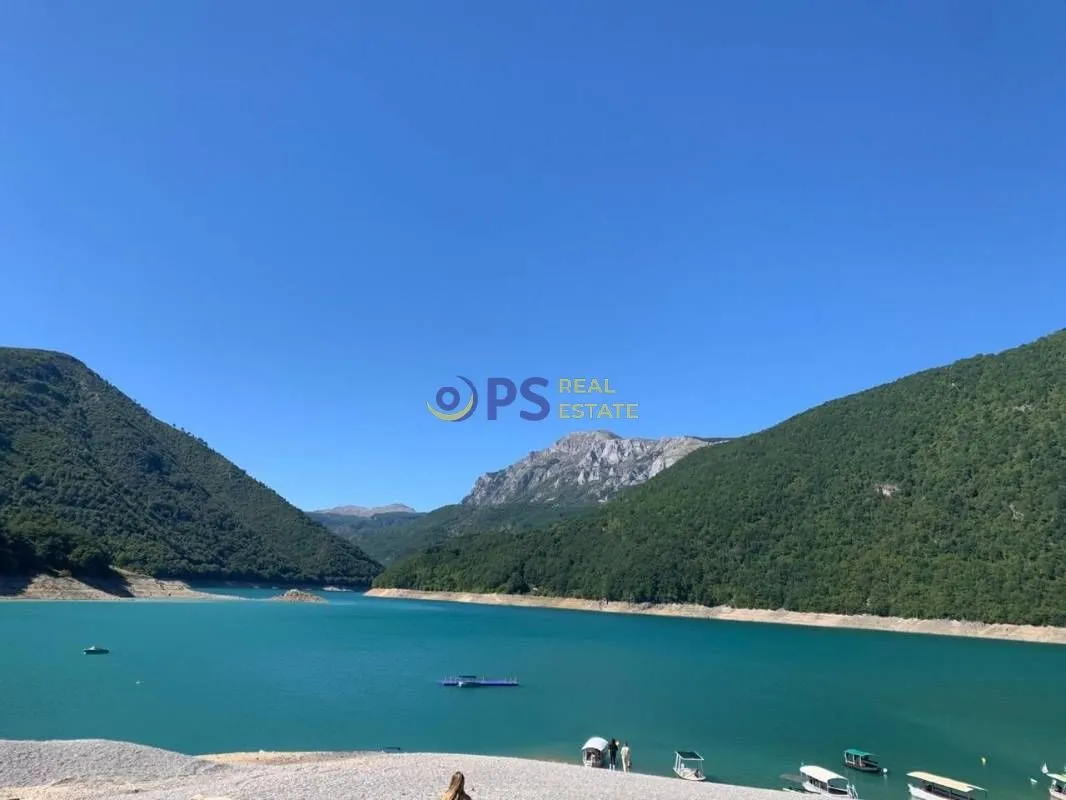Prodaja, plac, 15000m², Plužine, Crna Gora