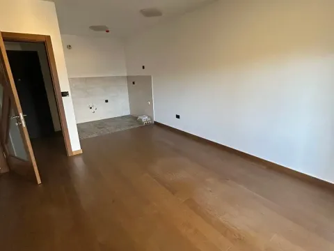 Rent, one bedroom apartment, 49m², Ljubović, Podgorica - image 2