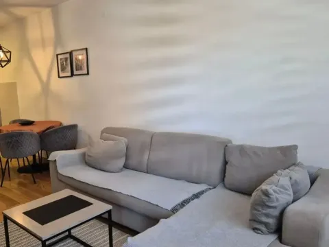 Izdavanje, jednosoban stan, 49m², Central Point, Podgorica - image 2