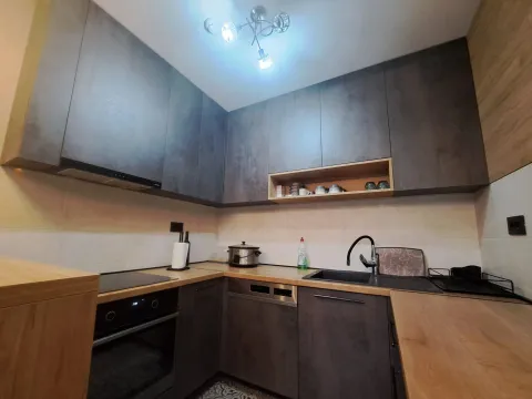Izdavanje, jednosoban stan, 50m², Ljubović, Podgorica - image 5