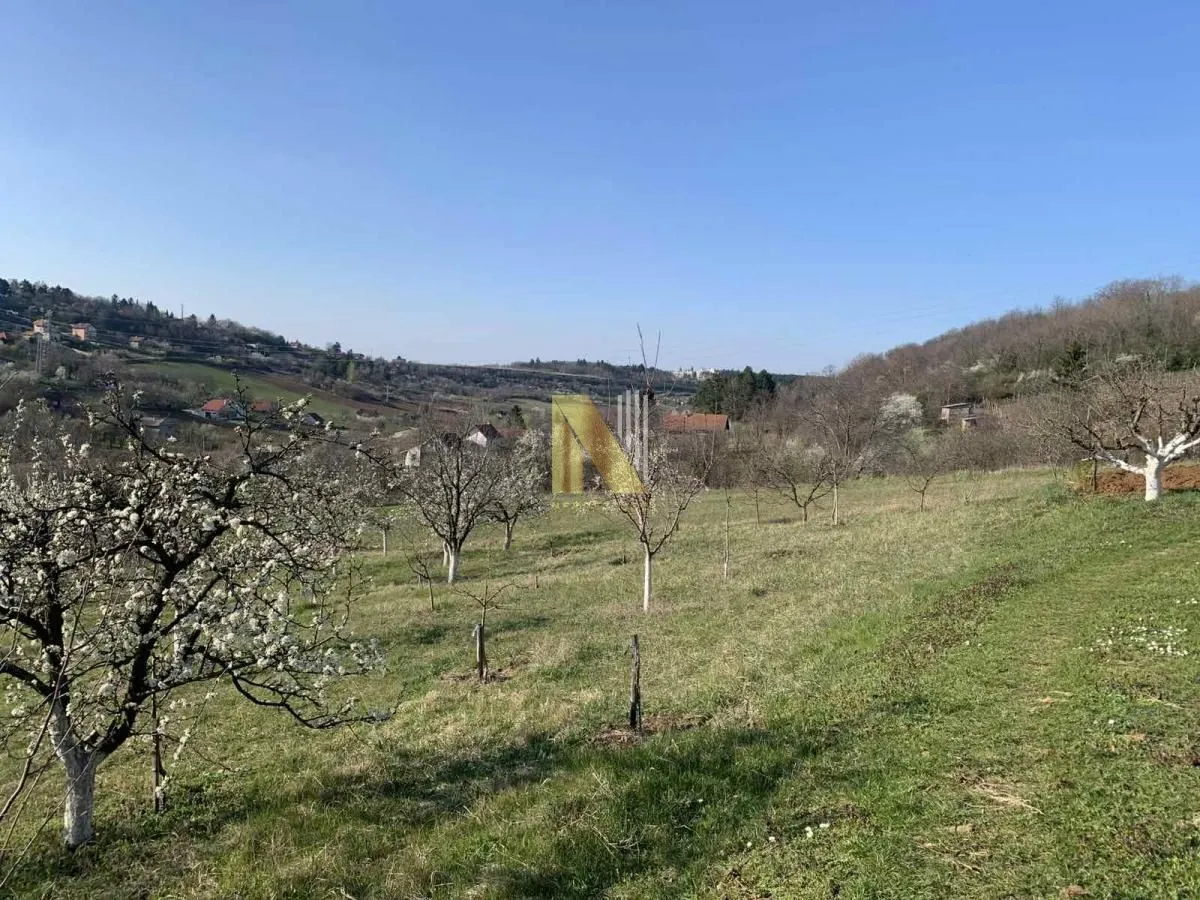 Prodaja, plac, 986m², Sremska Kamenica, Petrovaradin