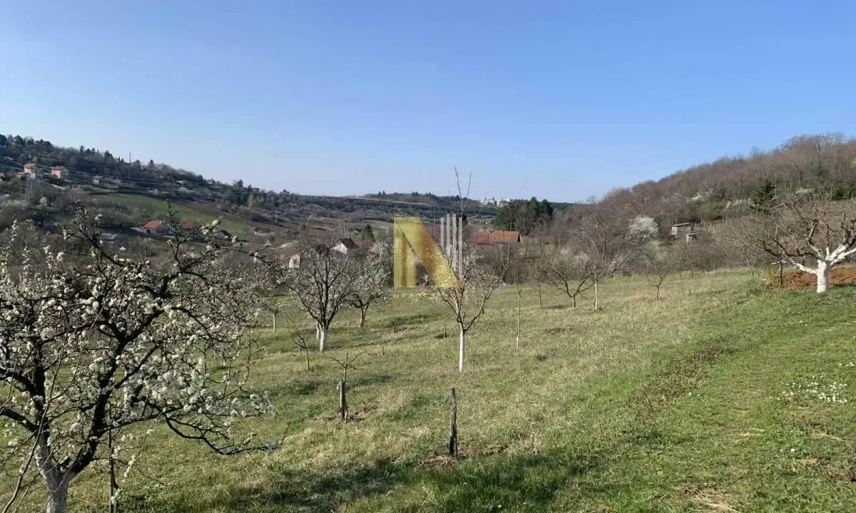 Sale, land lot, 986m², Sremska Kamenica, Petrovaradin