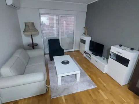 Rent, one bedroom apartment, 43m², Zabjelo, Podgorica - image 2