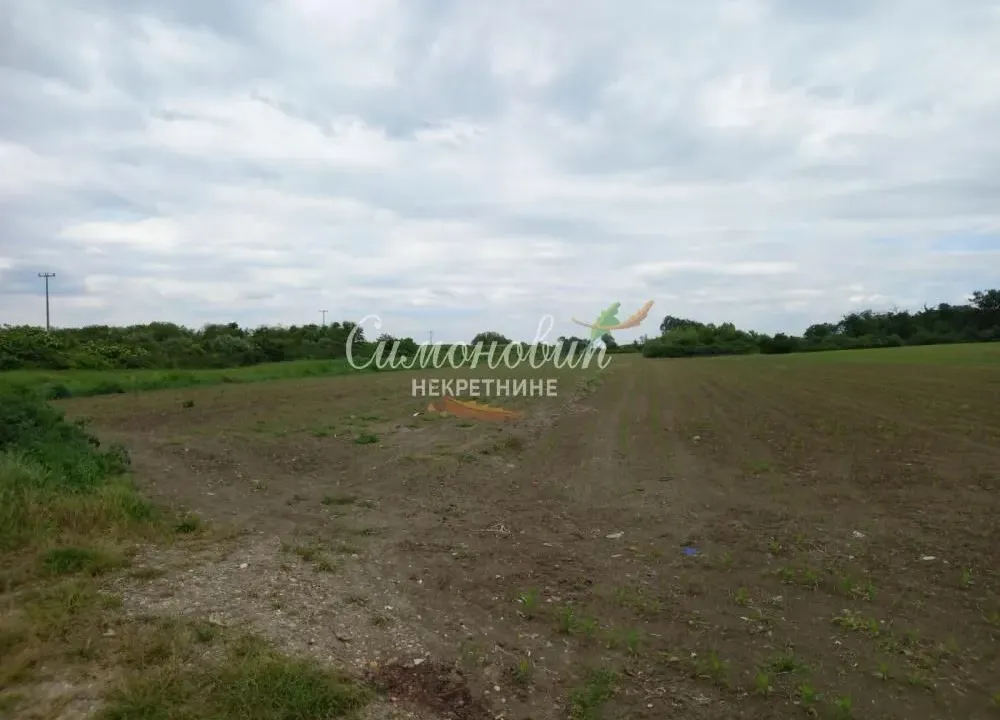 Sale, land lot, 8700m², Surčin, Beograd