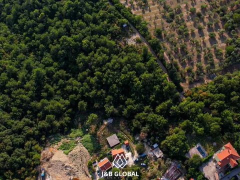 Prodaja, plac, 7500m², Kavač, Kotor - image 8