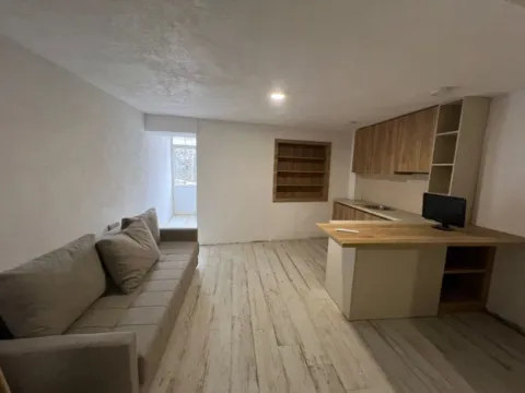 Izdavanje, jednosoban stan, 42m², Stara Varoš, Podgorica - image 2