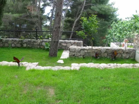 Prodaja, kuća, 420m², Zeleni Pojas, Bar - image 4