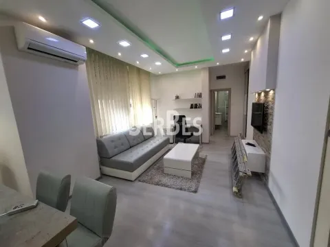 Izdavanje, dvosoban stan, 50m², Spens, Novi Sad Sve Podlokacije - image 3