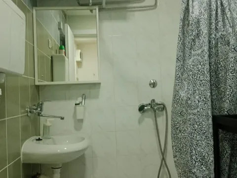 Rent, two bedroom apartment, 38m², Savski Venac, Beograd - image 9