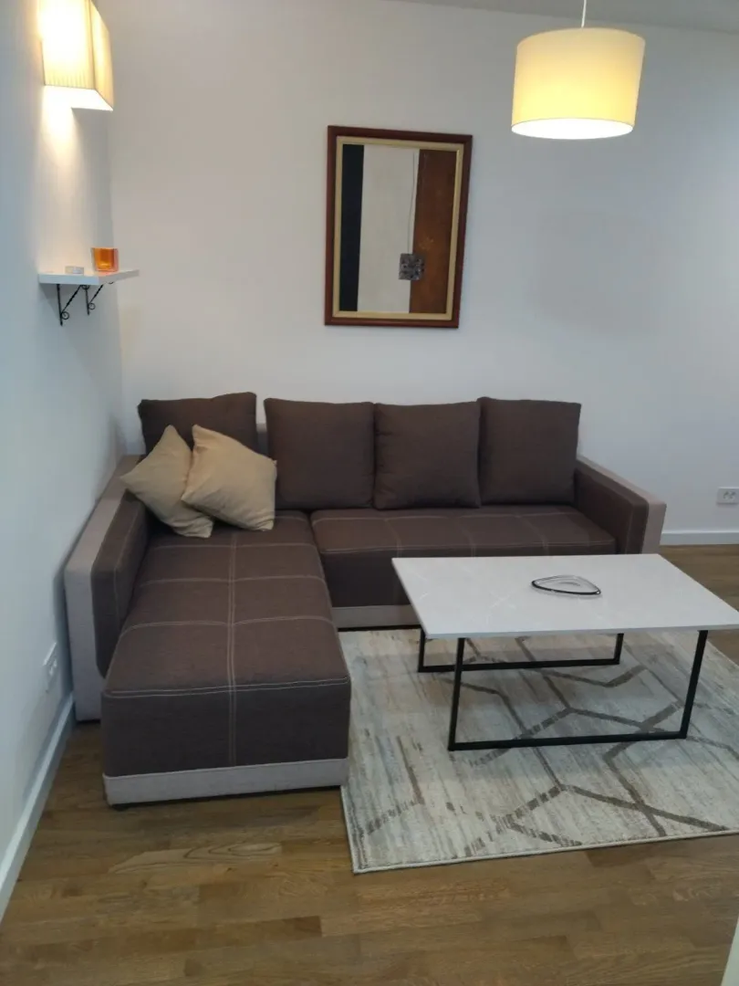 Living room with a sectional sofa, coffee table and rug.