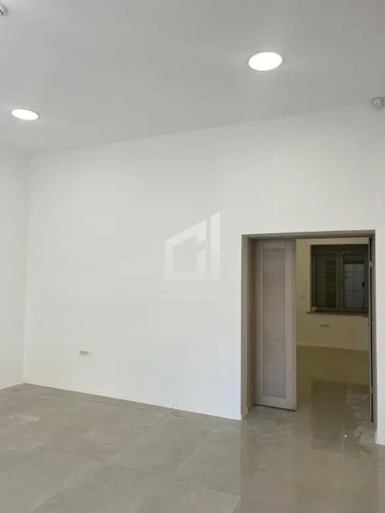 Izdavanje, poslovni prostor, 55m², Centar, Podgorica