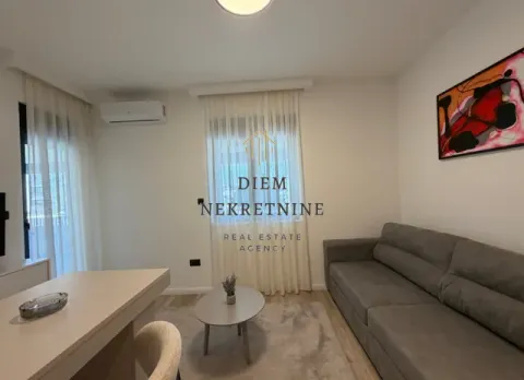 Living room with sofa, coffee table and air conditioning. - image 6