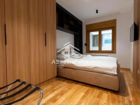 Izdavanje, dvosoban stan, 55m², Južni Bulevar, Vračar Sve Podlokacije - image 14