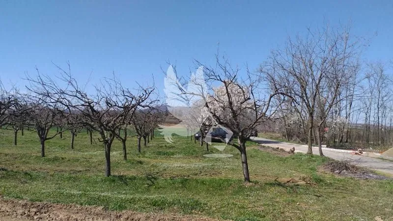 Prodaja, plac, 4500m², Mladenovac, Beograd
