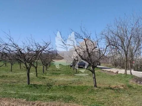 Prodaja, plac, 4500m², Mladenovac, Beograd - image 4