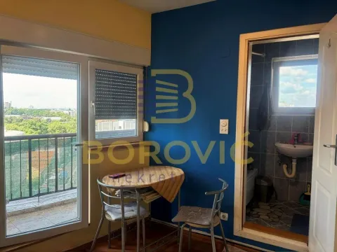 Izdavanje, garsonjera, 22m², Voždovac Sve Podlokacije, Beograd - image 5