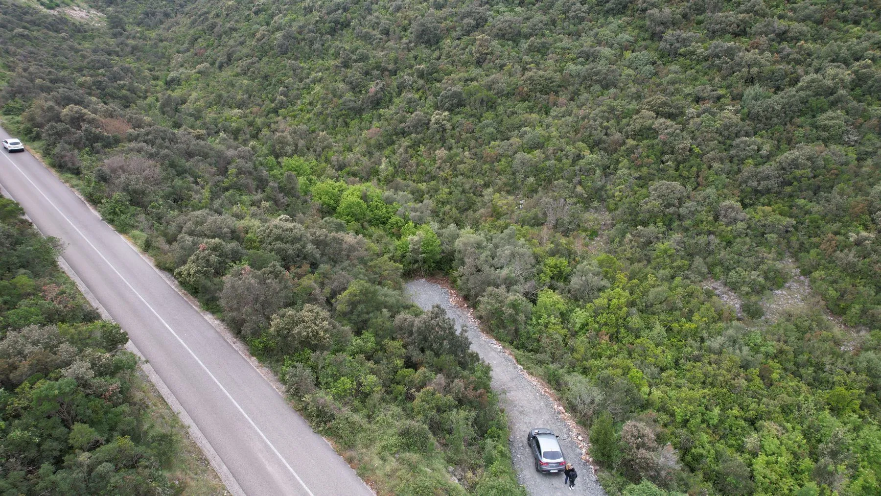 Prodaja, plac, 3585m², Krimovica, Kotor
