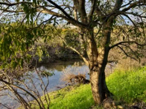 Prodaja, plac, 1877m², Donja Gorica, Podgorica - image 4