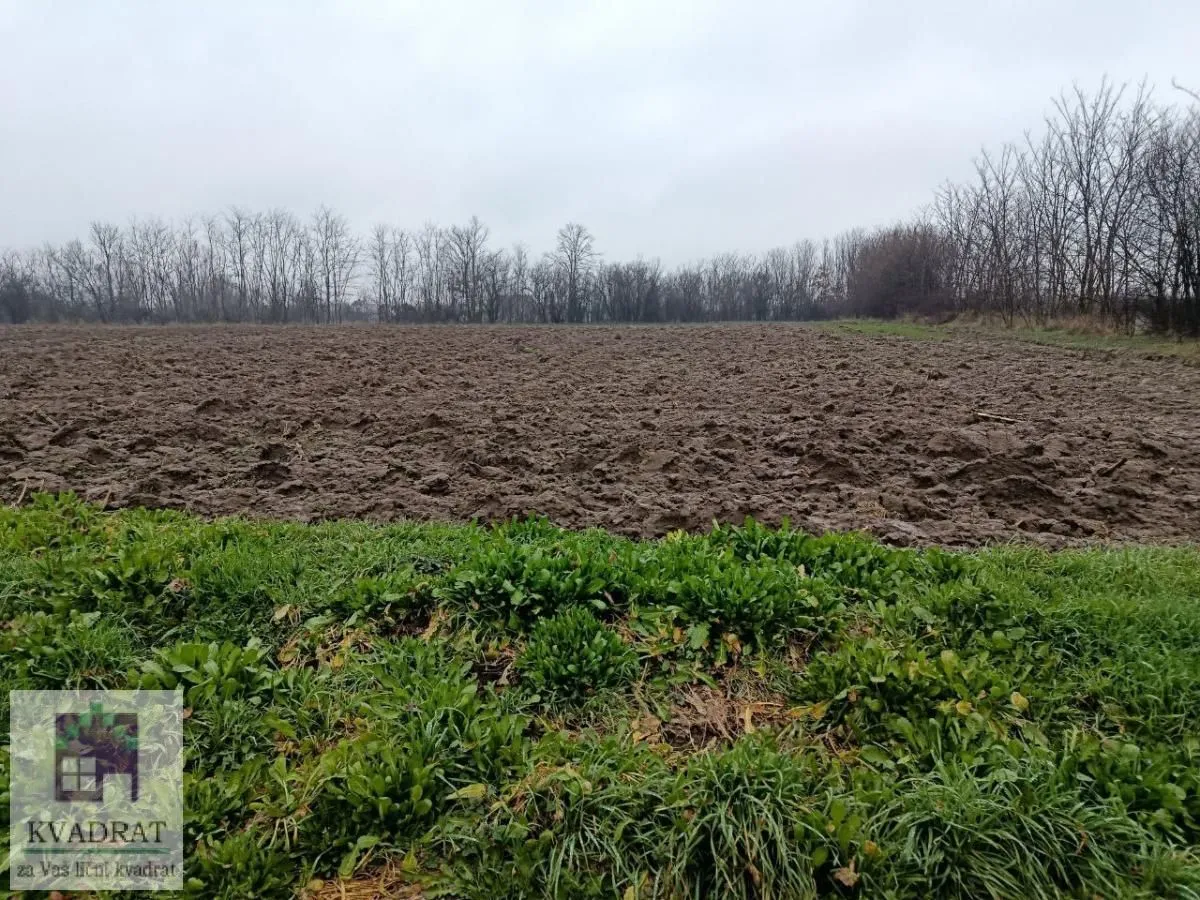 Prodaja, plac, 28200m², Trstenica, Obrenovac