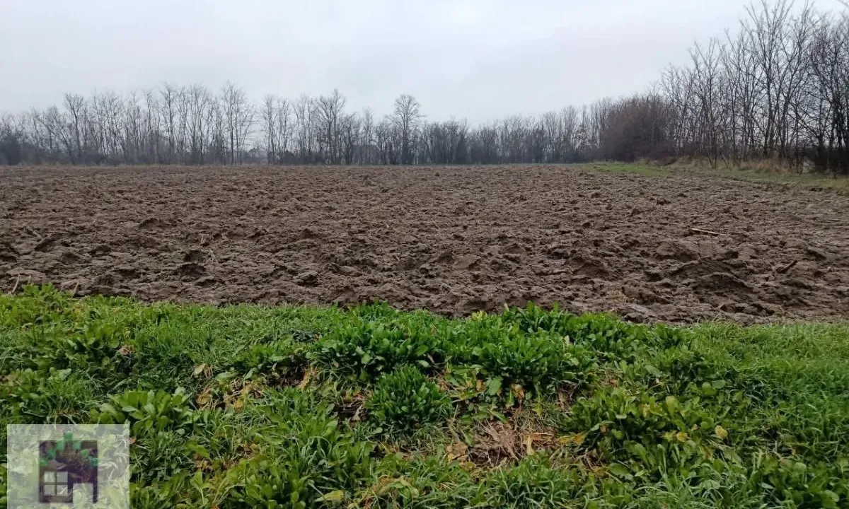 Sale, land lot, 28200m², Trstenica, Obrenovac