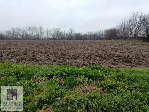 Zemljište in Trstenica