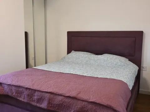 Izdavanje, jednosoban stan, 50m², Zagorič, Podgorica - image 5