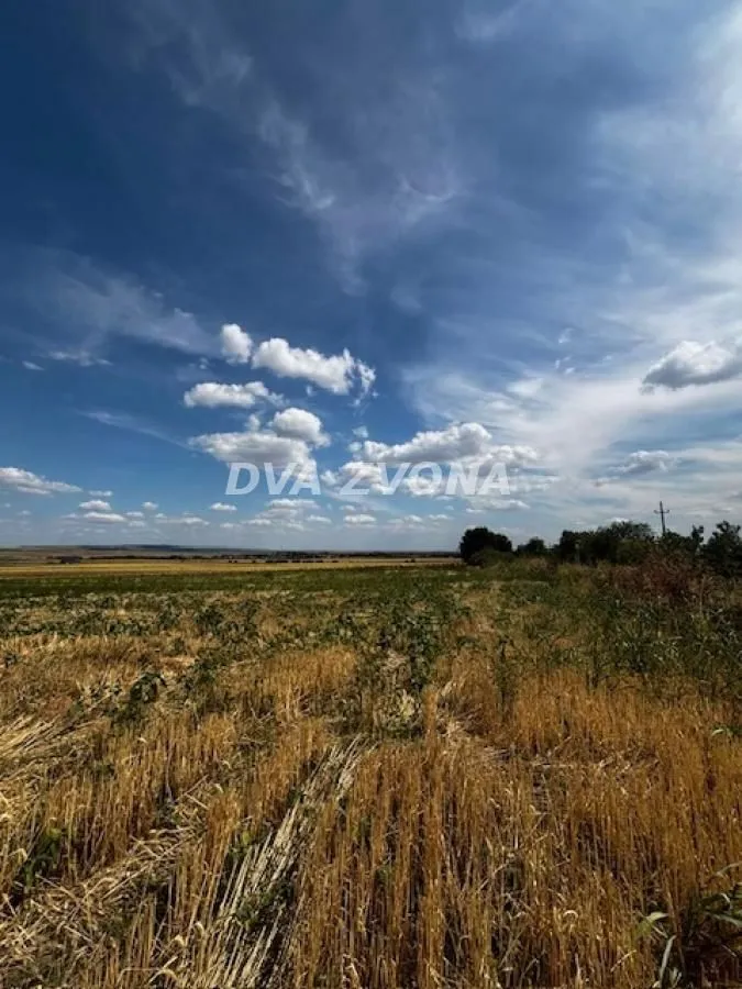 Prodaja, plac, 11510m², Čortanovci, Inđija