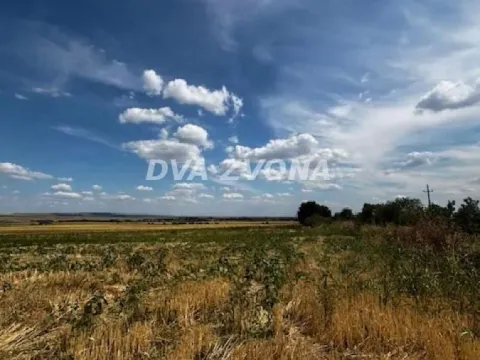 Sale, land lot, 11510m², Čortanovci, Inđija - image 5