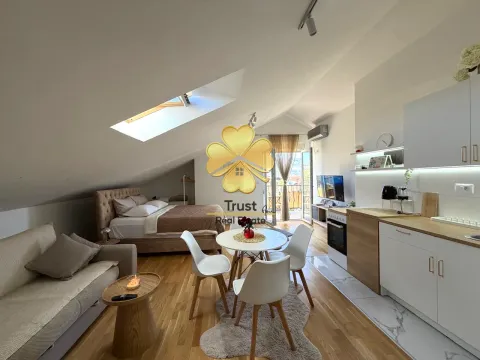 Attic apartment with an open layout featuring a living room, dining area, kitchen, and bed. - image 2