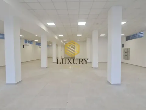 Izdavanje, poslovni prostor, 370m², Zabjelo, Podgorica - image 3