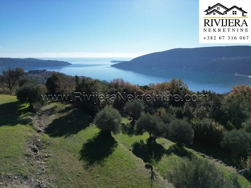 Prodaja, plac, 1553m², Trebesinj, Herceg Novi