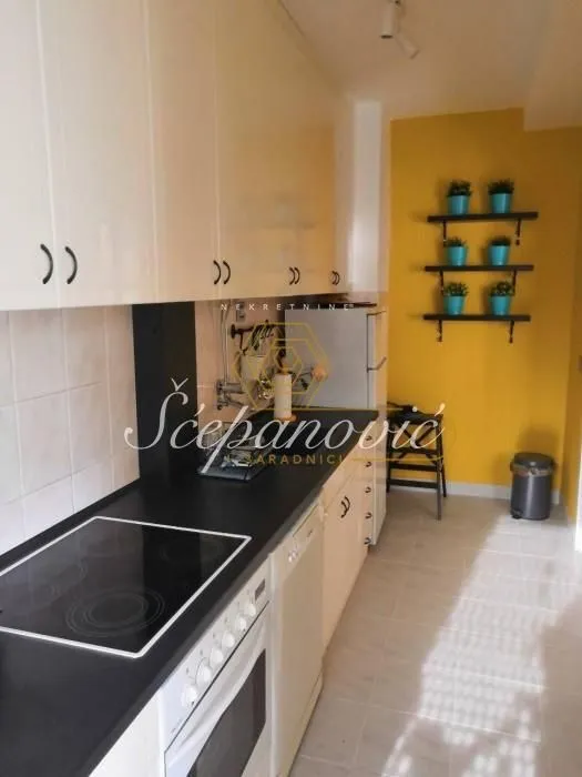 Izdavanje, dvosoban stan, 64m², Centar, Novi Sad