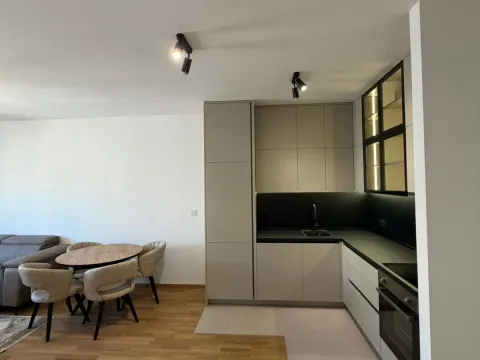 Izdavanje, jednosoban stan, 46m², Stari Aerodrom, Podgorica - image 3