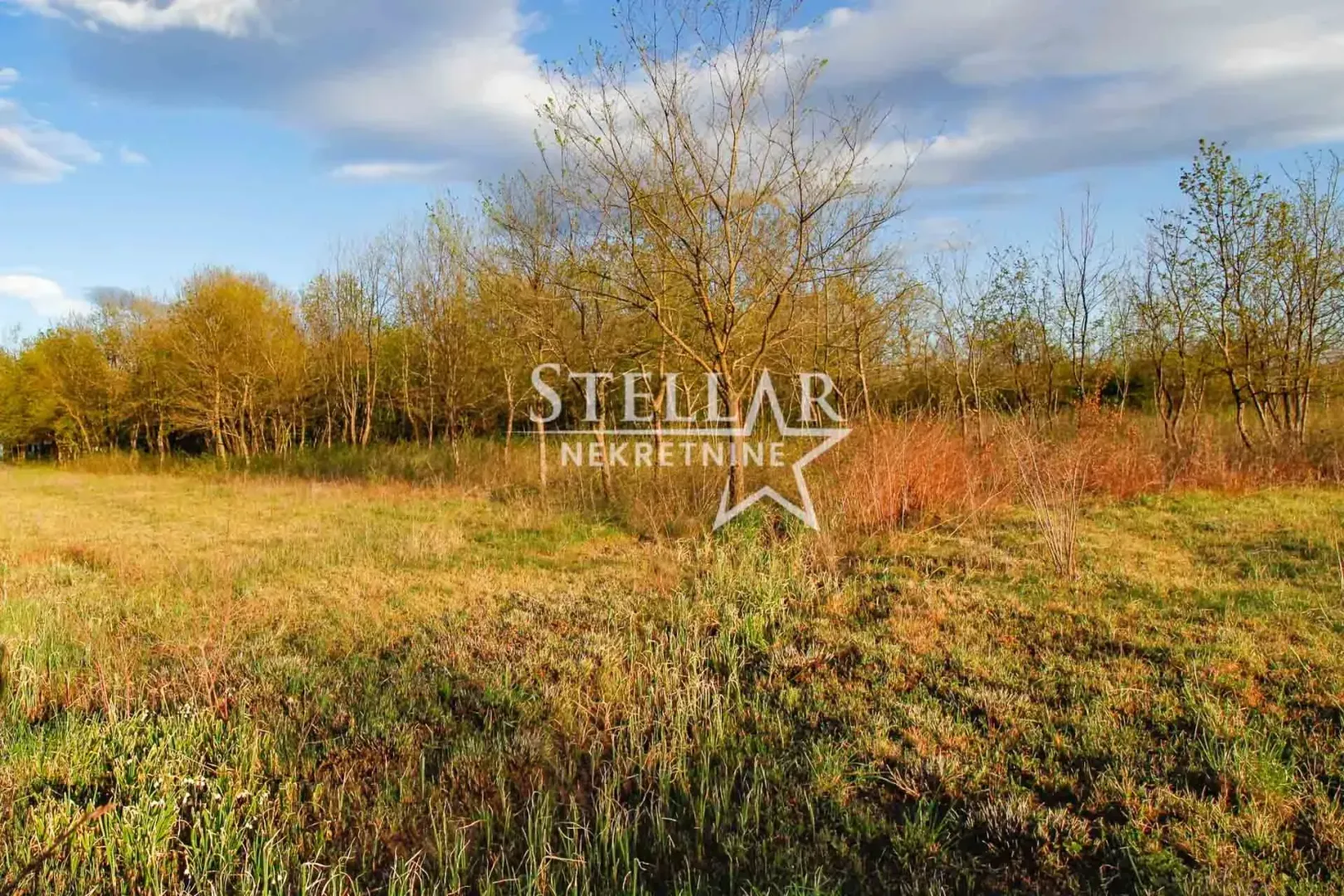 Prodaja, plac, 5554m², Jastreb, Danilovgrad