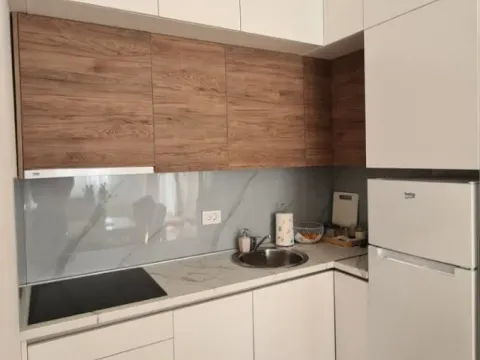 Izdavanje, jednosoban stan, 45m², Zabjelo, Podgorica - image 4