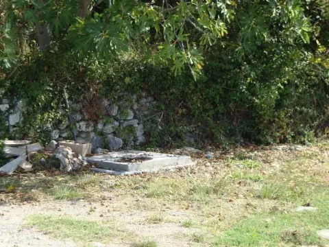 Pogled na dio dvorišta sa kamenim zidom i rastinjem. - image 2