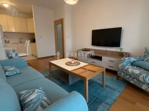 Izdavanje, jednosoban stan, 47m², Blok 6, Podgorica - image 4
