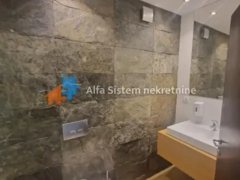 Rent, four bedroom apartment, 172m², Savski Venac, Beograd - image 10