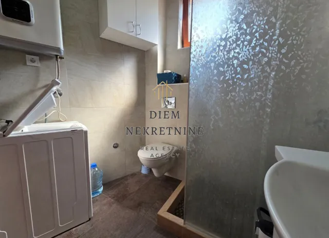 Smaller bathroom with a walk-in shower, toilet, and washing machine.