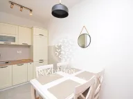 Izdavanje, jednosoban stan, 47m², Central Point, Podgorica - image 4