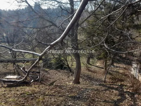 Prodaja, plac, 1000m², Sremska Kamenica, Petrovaradin - image 9