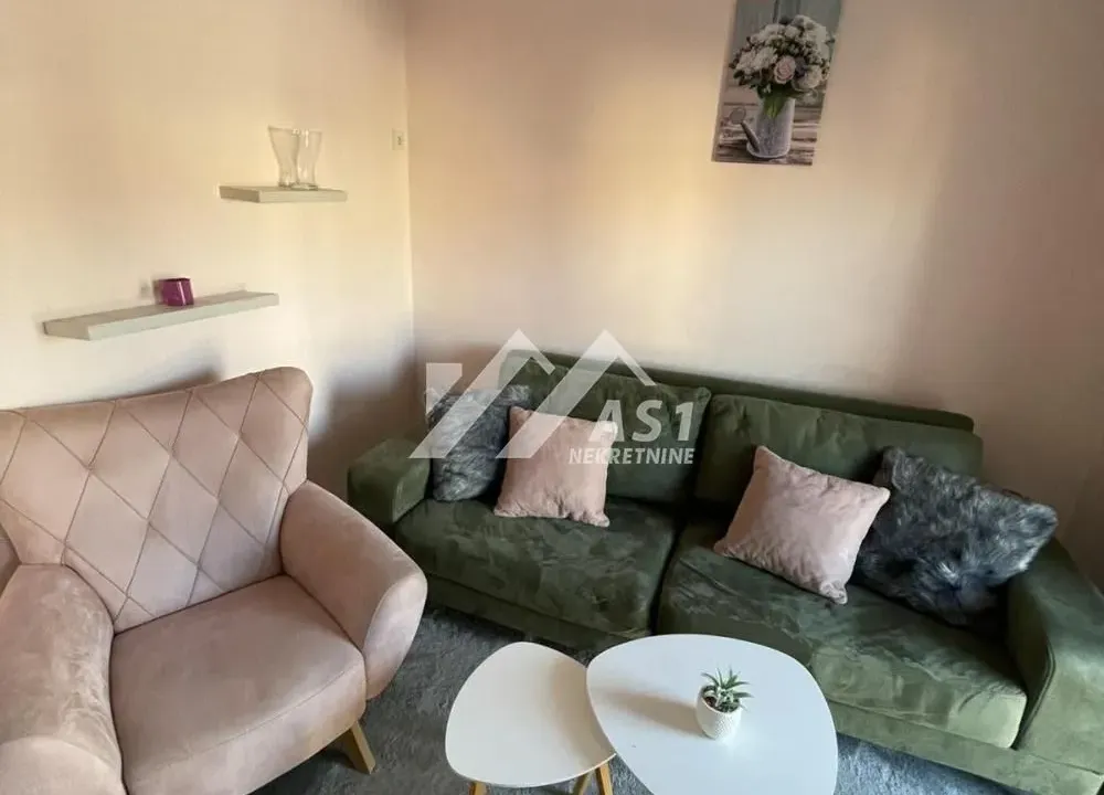 Izdavanje, dvosoban stan, 55m², Centar, Novi Sad