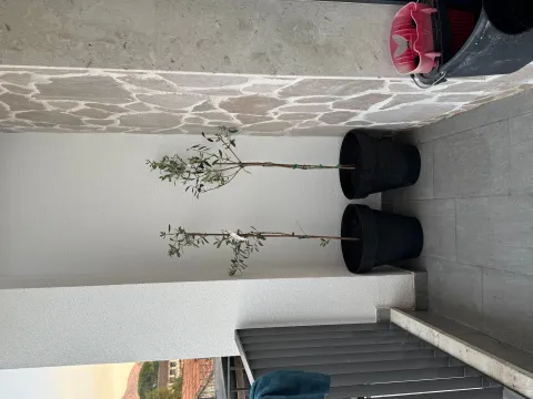 Rent, one bedroom apartment, 45m², Radanovići, Kotor - image 6