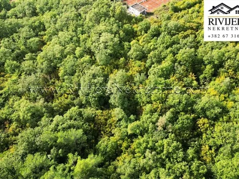 Prodaja, plac, 5356m², Dub, Kotor - image 4