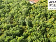 Prodaja, plac, 5356m², Dub, Kotor - image 4